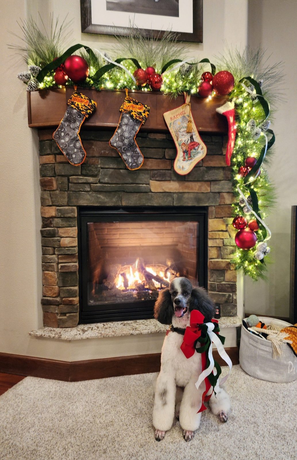 Stone fireplace mantel with lit greenery garland, red ornaments, velvet ribbon and stockings, with a poodle in a red bow by the fire