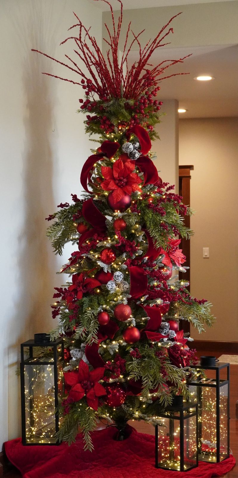 Slim Christmas tree styled in red velvet ribbon, poinsettias and berries, with glowing lanterns at its base